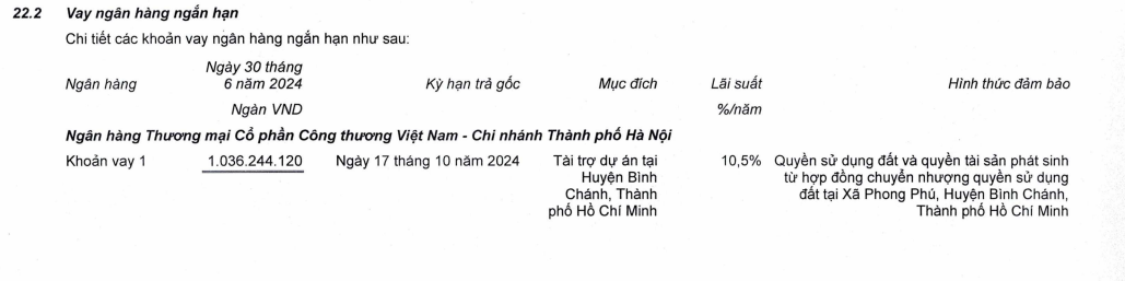 tctd-sieu-du-an-hay-sieu-rui-ro-nha-khang-dien-doi-mat-khung-hoang-hang-ton-kho-len-den-hon-21000-ty3-1722434471.jpg