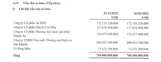 tctd-cienco-1-va-bai-hoc-dat-gia-tai-nha-tu-that-thoat-240-ty-tu-co-phan-hoa-map-mo-dau-an-nhom-doanh-nghiep-lien-quan-dinh-ngoc-he-1732264730.jpg