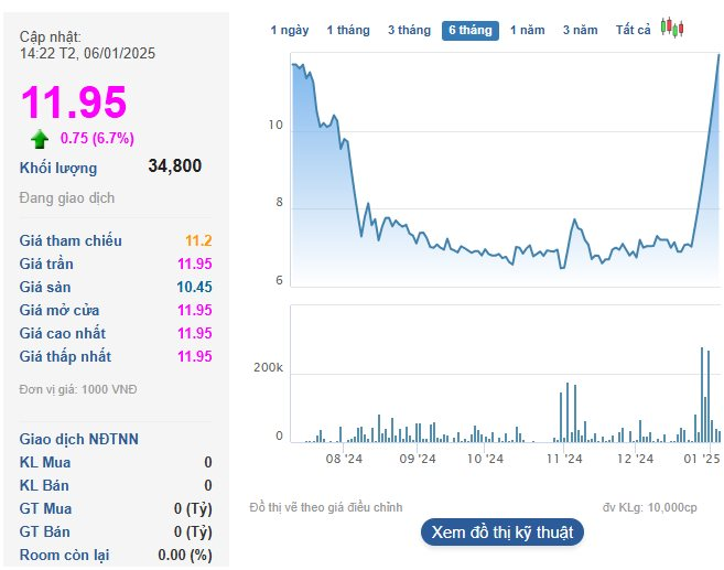 tctd-co-phieu-tang-tran-8-phien-lien-tiep-nhung-tmt-motors-van-dang-lo-gan-100-ty-va-nam-trong-sanh-sach-bi-cat-margin-co-gi-bat-thuong-1736153214.png