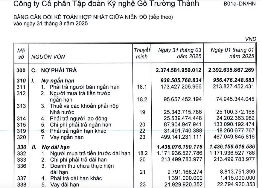 tctd-go-truong-thanh-dinh-phot-no-thue-hon-147-ty-dong2-1747809654.jpg