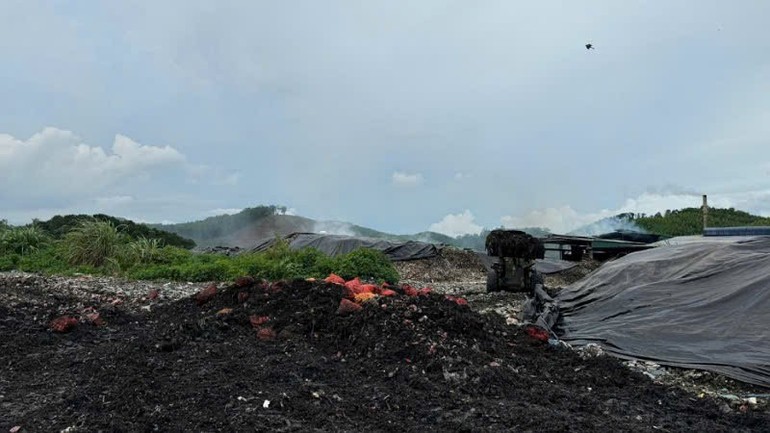 tctd-quang-ninh-bat-gan-17-tan-ngao-hau-khong-ro-nguon-goc-tri-gia-hon-670-trieu-dong-1751446441.jpg