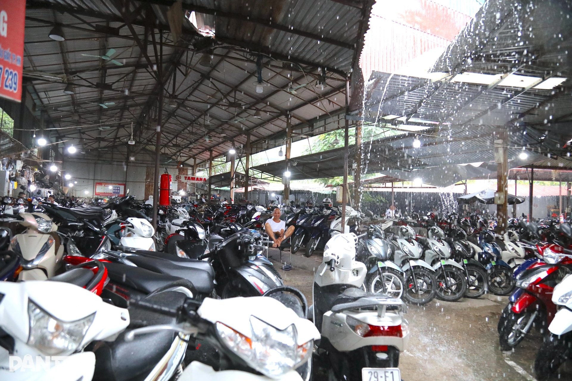 tctd-mot-lenh-cam-ca-nganh-xe-may-cu-lao-dao5-1753433753.jpg