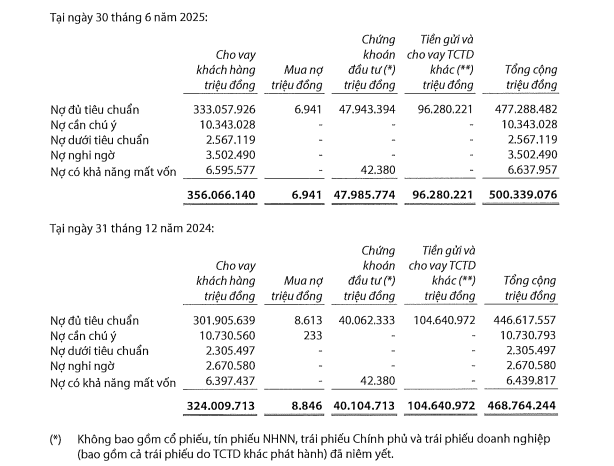 tctd-loi-nhuan-tang-no-xau-cung-tang-vib-di-day-giua-hieu-qua-va-rui-ro-1753768691.png