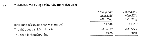 tctd-loi-nhuan-tang-no-xau-cung-tang-vib-di-day-giua-hieu-qua-va-rui-ro1-1753768690.png