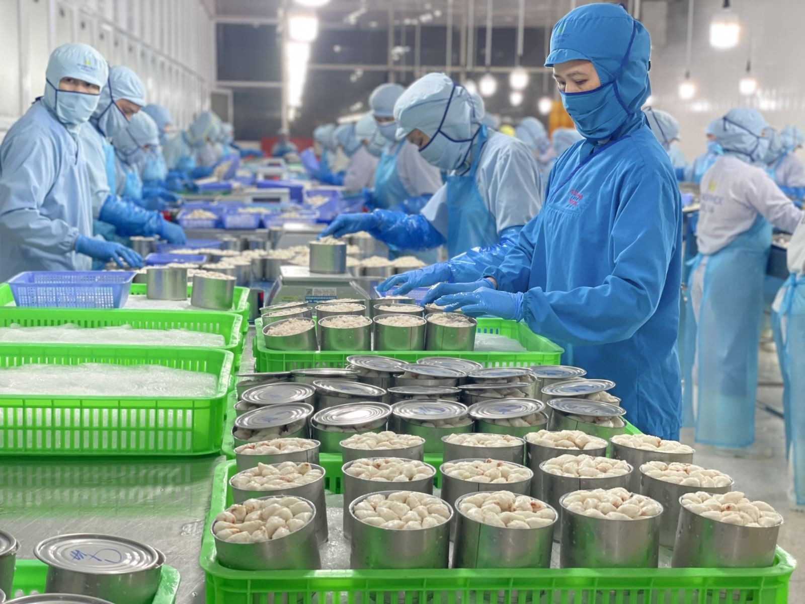 tctd-hang-viet-tim-loi-di-moi-giua-bao-kinh-te-danh-thang-vao-thi-truong-halal-2548-ty-usd-1755185455.jpg