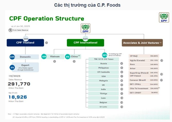 tctd-cp-foods-viet-nam-thua-lo-doanh-thu-giua-tam-bao-truyen-thong-loi-canh-bao-cho-ong-lon-ngoai-1755500186.JPG