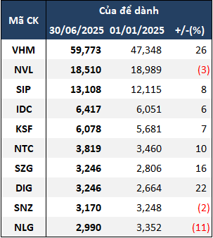 tctd-toan-canh-cua-de-danh-cua-104-doanh-nghiep-bds-nua-dau-2025-ai-gom-tien-ai-hut-hoi3-1756885335.png
