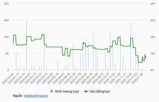 tctdvn-sa-xi-chuong-duong-lai-doi-ghe-nong-giam-doc-roi-vi-tri-sau-chua-day-6-thang-doanh-nghiep-chim-sau-trong-thua-lo-1768920836.JPG