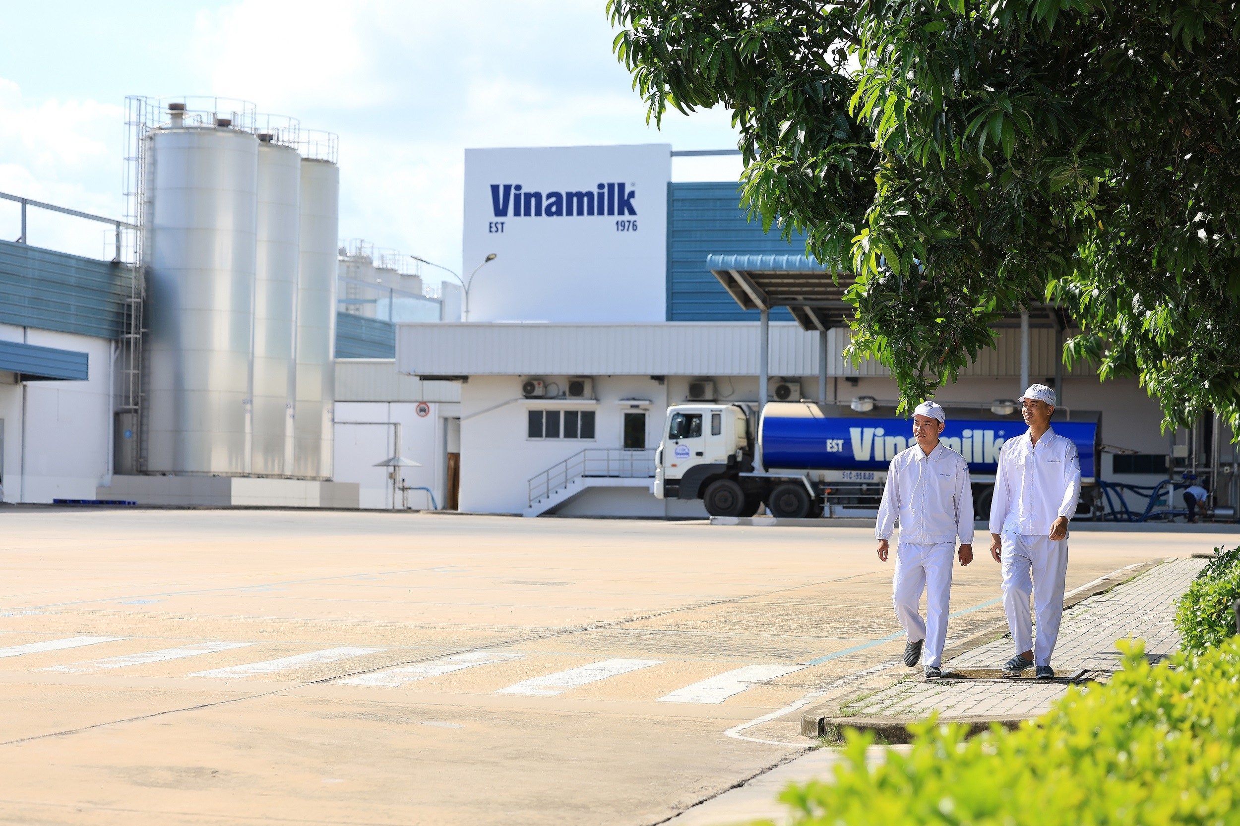 tctdvn-vinamilk-3-nam-lien-tiep-la-doanh-nghiep-sua-duy-nhat-cua-viet-nam-trong-fortune-500-dong-nam-a-4-1781783980.jpg