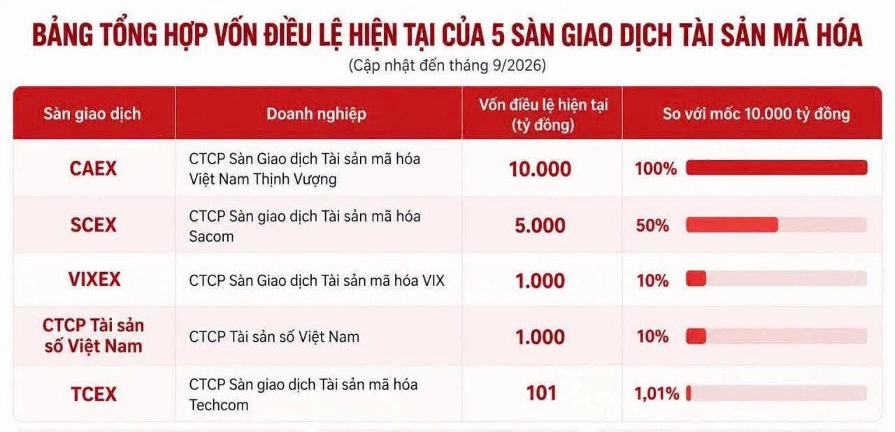 tctdvn-5-ung-vien-dua-mo-san-tai-san-ma-hoa-tai-viet-nam-nguoi-nham-10000-ty-ke-moi-co-101-ty-1788943124.jpg