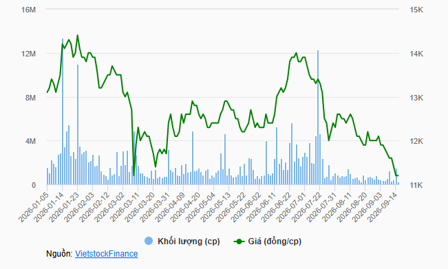 tctdvn-vua-len-hose-bvb-da-giam-16-bvbank-lai-chuan-bi-dot-tang-von-lon-nhat-lich-su-1789631186.PNG