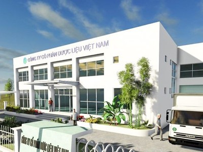 DVM “rơi tự do”: Lãi quý 1 gần như bay sạch sau một năm, chuyện gì đang xảy ra?