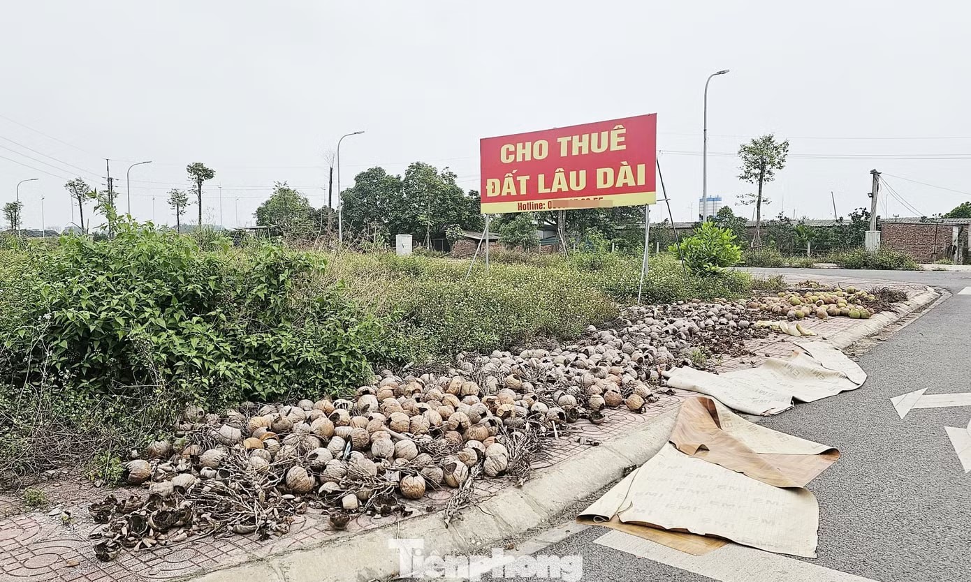 tctdvn-sot-dat-qua-di-dat-dau-gia-vung-ven-ha-noi-thanh-bai-co-hoang-khong-mot-bong-nguoi3-1776412483.jpg