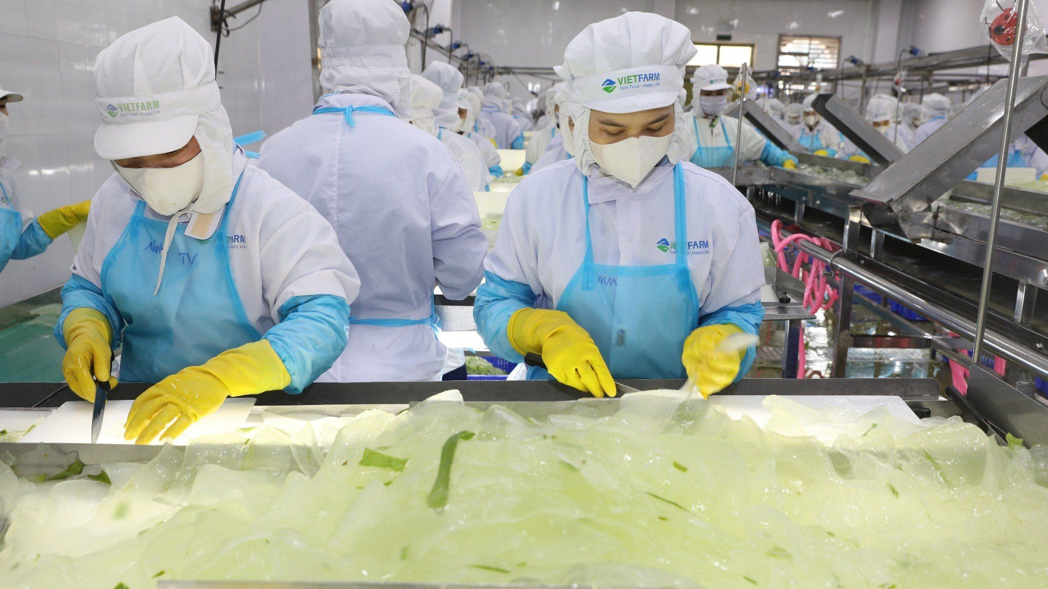 GC Food bị phạt 425 triệu đồng, lợi nhuận năm 2025 sau kiểm toán giảm hơn 62 tỷ đồng