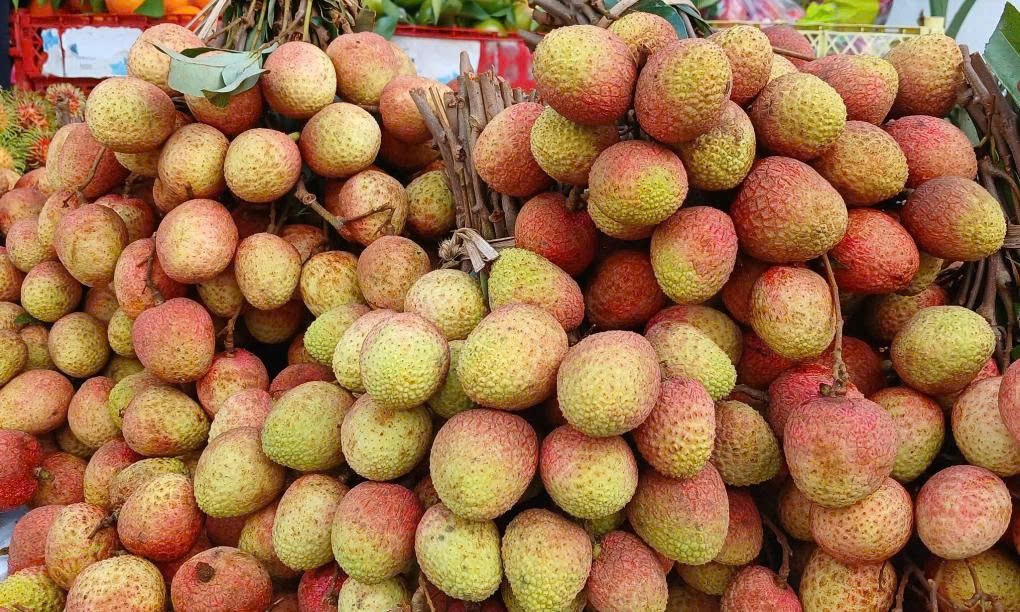 tctd-vnvai-thieu-rot-gia-the-tham-nong-dan-lo-lo-nang-du-trung-mua-1751035909.jpg