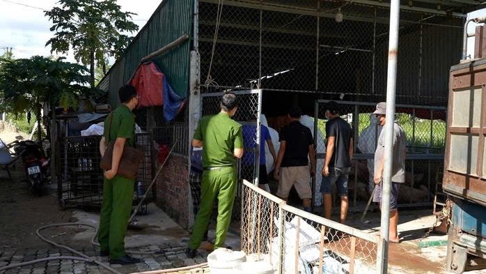 tctdvn-lo-duong-day-gom-heo-chet-tu-vung-dich-chuan-bi-bi-tuon-vao-mien-nam-tieu-thu-1752820265.jpg