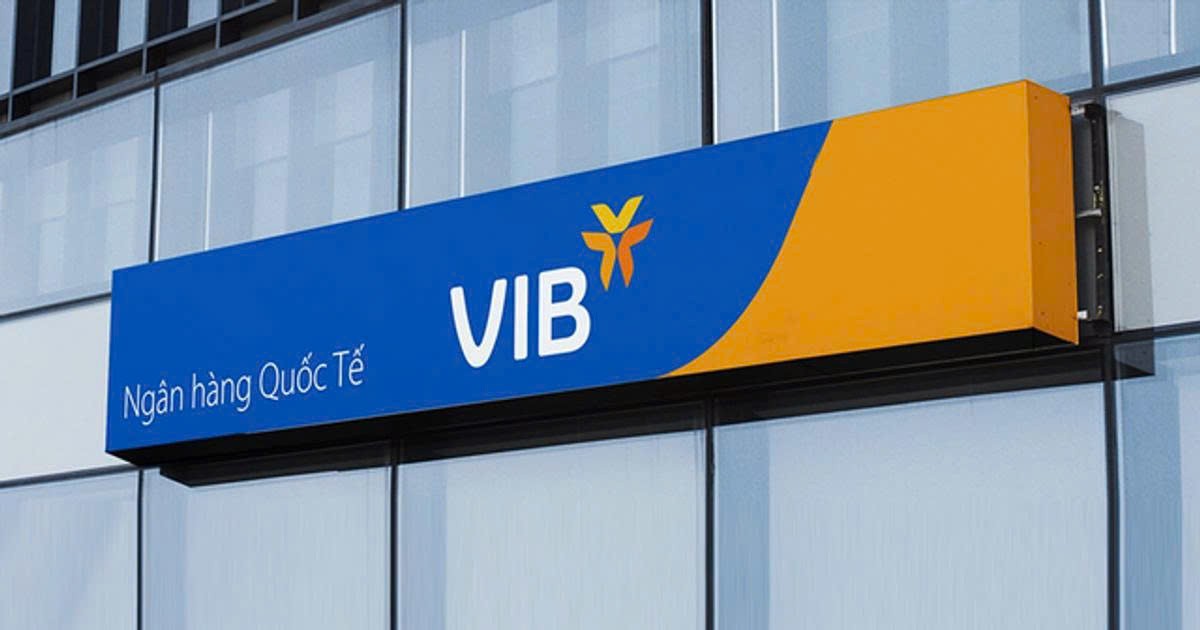 tctdvn-thanh-tra-vib-chi-nhanh-vinh-phat-hien-ton-tai-trong-tham-dinh-xet-duyet-cho-vay-ho-so-tin-dung-thieu-chung-tu-1792216237.jpg