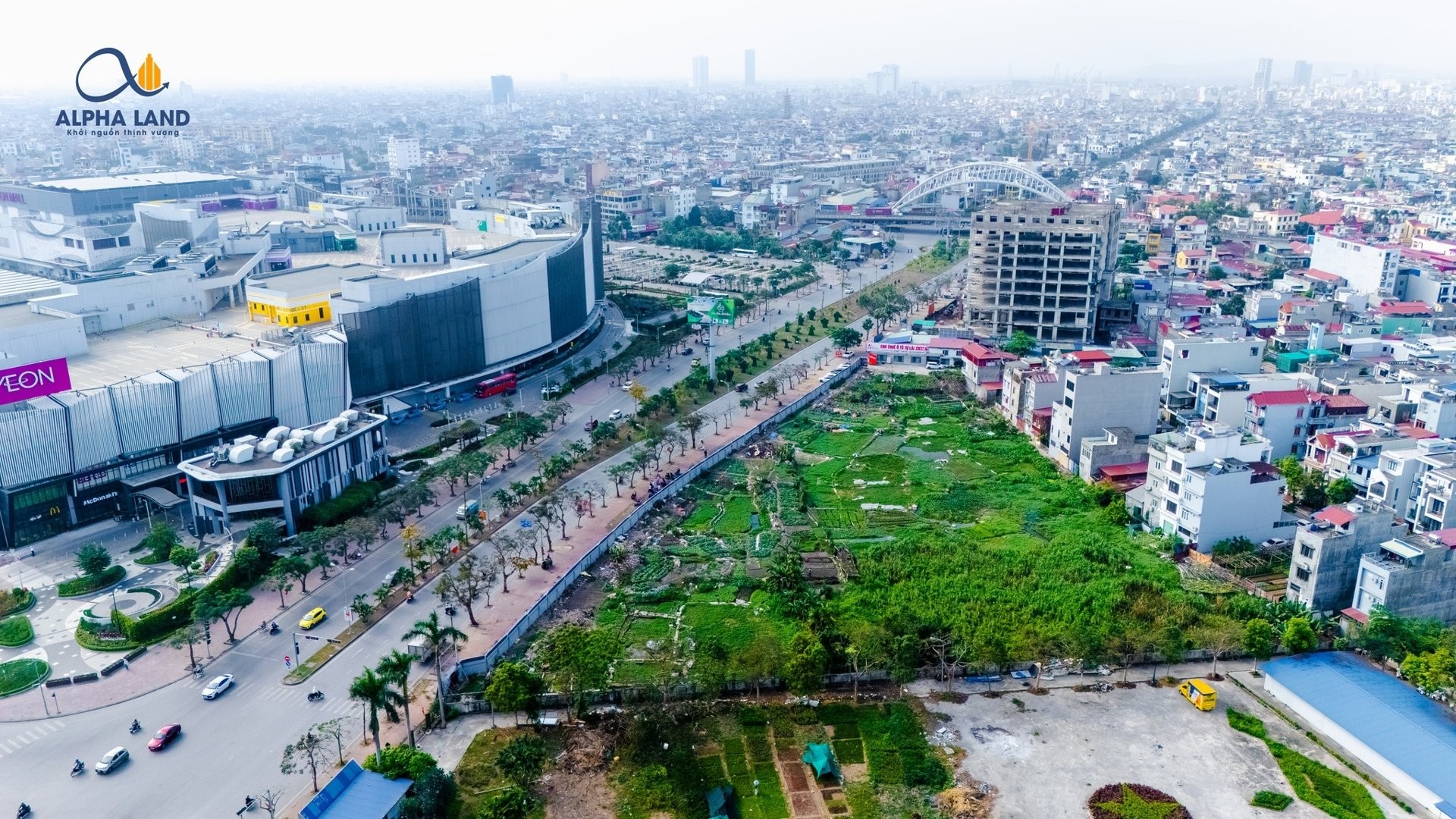 tctdvn-hai-phong-giao-dat-vang-dai-gia-malaysia-dung-cao-oc-37-tang-1746545258.jpg