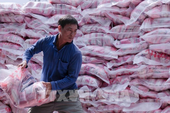 tctdvn-gia-gao-xuat-khau-viet-nam-tiep-tuc-tang-1755443346.jpg