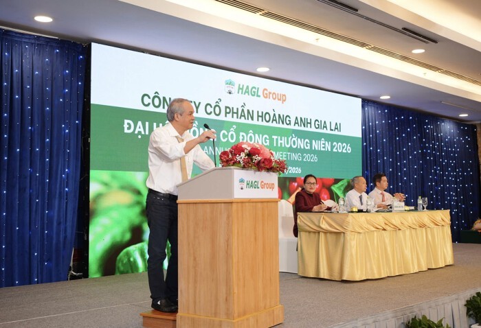 Hoàng Anh Gia Lai chính thức “qua cơn bĩ cực”: Kiểm toán gỡ nghi ngờ hoạt động liên tục sau 10 năm tái cấu trúc