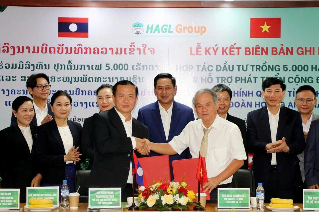 tctdvn-sau-chuoi-va-heo-bau-duc-tiep-tuc-cuoc-lon-vao-nong-nghiep-hoang-anh-gia-lai-trong-5000ha-ca-phe-tai-lao-1778740146.jpg