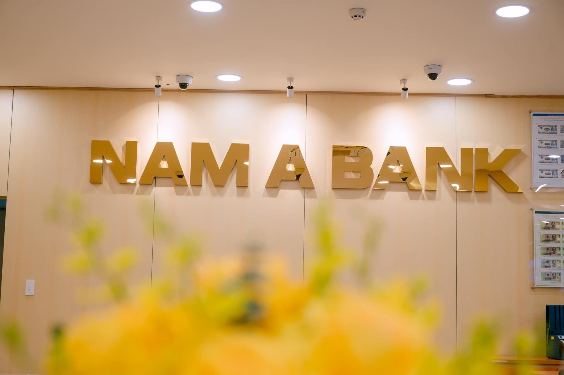 tctdvn-nam-a-bank-dak-lak-bi-yeu-cau-chan-chinh-cong-tac-tham-dinh-phe-duyet-cho-vay-1790747559.jpg