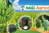 HAGL Agrico lỗ thêm 152 tỷ sau soát xét, EY nhấn mạnh khả năng hoạt động liên tục