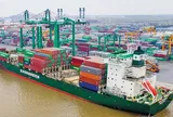 Lãi vay quý II gần gấp 3 lần, Viconship tiếp tục huy động 500 tỷ đồng trái phiếu để cơ cấu nợ
