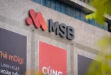 Ngân hàng MSB vào diện kiểm tra của cục Thuế: “sức khỏe tài chính” lộ nhiều điểm cần lưu ý