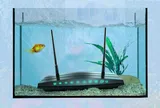 Wi-Fi trong nhà chập chờn, mạng yếu bất thường? Thủ phạm có thể là vật dụng quen thuộc ngay phòng khách!