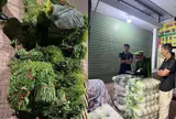 Giật mình: Gần một nửa rau quả ở chợ TP.HCM có dư lượng thuốc bảo vệ thực vật
