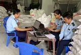 Một tháng Đồng Tháp phát hiện 312 vụ vi phạm thị trường, thu hơn 11 tỷ đồng