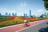 10 thành phố tốt nhất thế giới để khám phá bằng xe đạp năm 2026