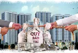 Quy định mới: Chủ đầu tư chậm bàn giao quỹ bảo trì bị phạt 260-300 triệu đồng