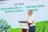 Bầu Đức đặt cược lớn vào cà phê: Công bố siêu dự án 20.000ha cà phê, doanh thu dự kiến 18.600 tỷ đồng mỗi năm