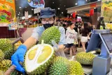 Vì sao sầu riêng miền Tây rớt giá mạnh nhưng vào siêu thị TP.HCM vẫn đắt đỏ?