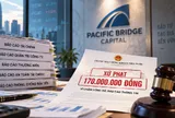 Pacific Bridge Capital bị phạt 170 triệu: Chậm từ BCTC đến báo cáo phòng chống rửa tiền