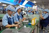 NHNN tung chương trình tín dụng mới: DN nhỏ và vừa được giảm ít nhất 1% lãi suất