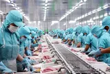 Mỹ đưa Việt Nam vào diện cảnh báo cao nhất về sở hữu trí tuệ: Doanh nghiệp xuất khẩu đứng trước áp lực mới