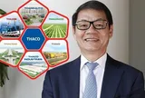Huy động 5.700 tỷ trái phiếu nhưng cần tới 36.600 tỷ đầu tư: THACO có đang “khát vốn” cho tham vọng bất động sản – nông nghiệp?