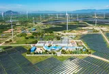 Loạt báo cáo trái phiếu, tài chính công bố chậm thông tin qua nhiều năm: Trung Nam Group bị phạt