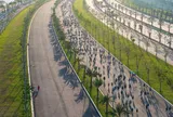VnExpress Marathon Green Paradise: Vạch xuất phát của chuẩn sống mới tại “thiên đường wellness” Cần Giờ