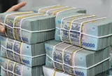 Chính phủ duyệt bổ sung 5.000 tỷ đồng vốn điều lệ cho Ngân hàng Hợp tác xã Việt Nam