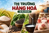 Gạo giảm nhẹ, hồ tiêu “đứng giá”, cao su bứt phá trên các sàn châu á
