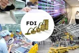 Doanh nghiệp Việt ồ ạt mang tiền ra nước ngoài: Gần 2,8 tỷ USD rót đi đâu?