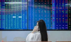 Chứng khoán Việt "nóng", gần 200.000 tài khoản mới gia nhập chỉ trong 1 tháng