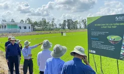 Xây dựng tiêu chuẩn quốc gia mới cho rau an toàn, gỡ nút thắt cho nông dân