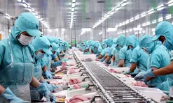 Mỹ đưa Việt Nam vào diện cảnh báo cao nhất về sở hữu trí tuệ: Doanh nghiệp xuất khẩu đứng trước áp lực mới