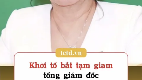 Khởi tố bắt tạm giam tổng giám đốc Quốc Cường Gia Lai Bà Nguyễn Thị Như Loan