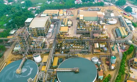 Giá một kim loại tăng sốc, công ty con của Masan có thể lãi gấp 190 lần